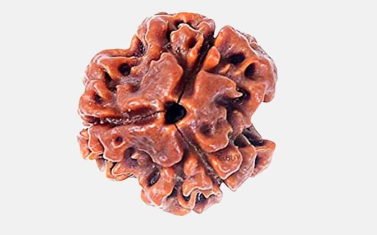 3 Mukhi Rudraksh Benifits