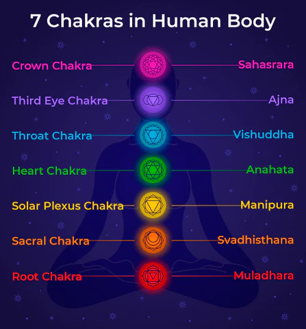 स्वाधिष्ठान चक्र  (Swadhisthana Chakra)